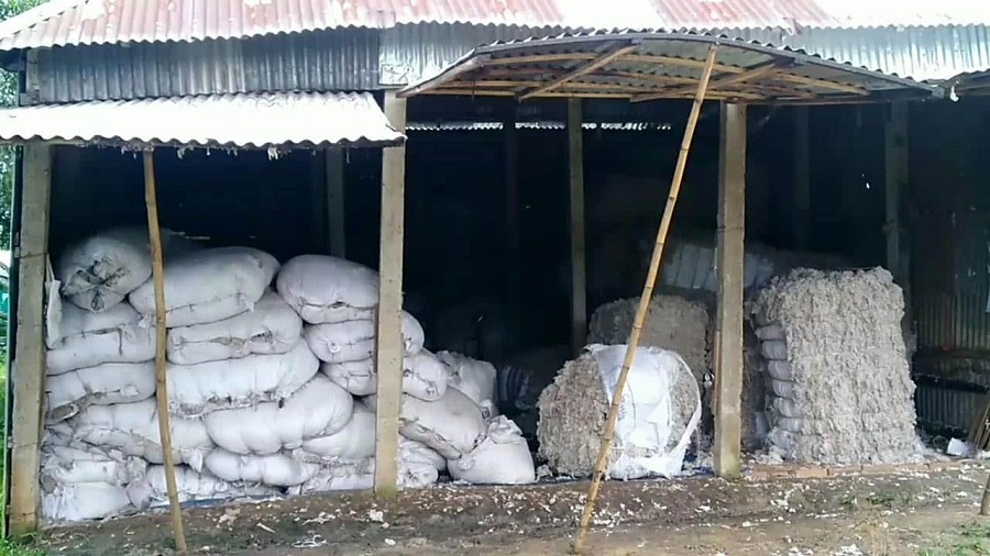 গো-খাদ্য হিসাবে ব্যবহৃত হচ্ছে কারখানার পরিত্যক্ত তুলা