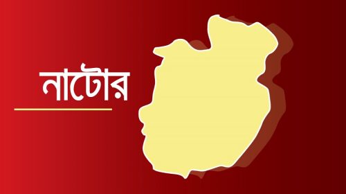 নাটোরের গুরুদাসপুরে মারধর ও ছিনতাই
