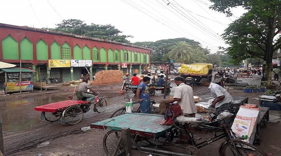ঝিনাইদহের হলিধানীতে এক রাখাল রাজার দাম ১৫ লক্ষ টাকা