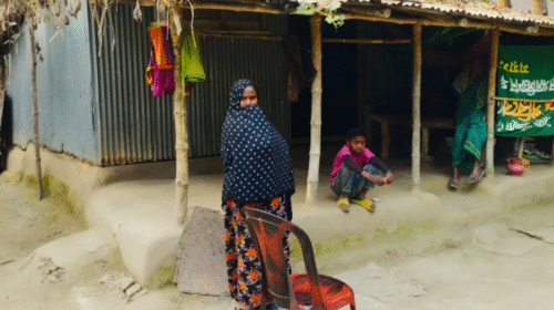 একটি কিডনির গ্রাম