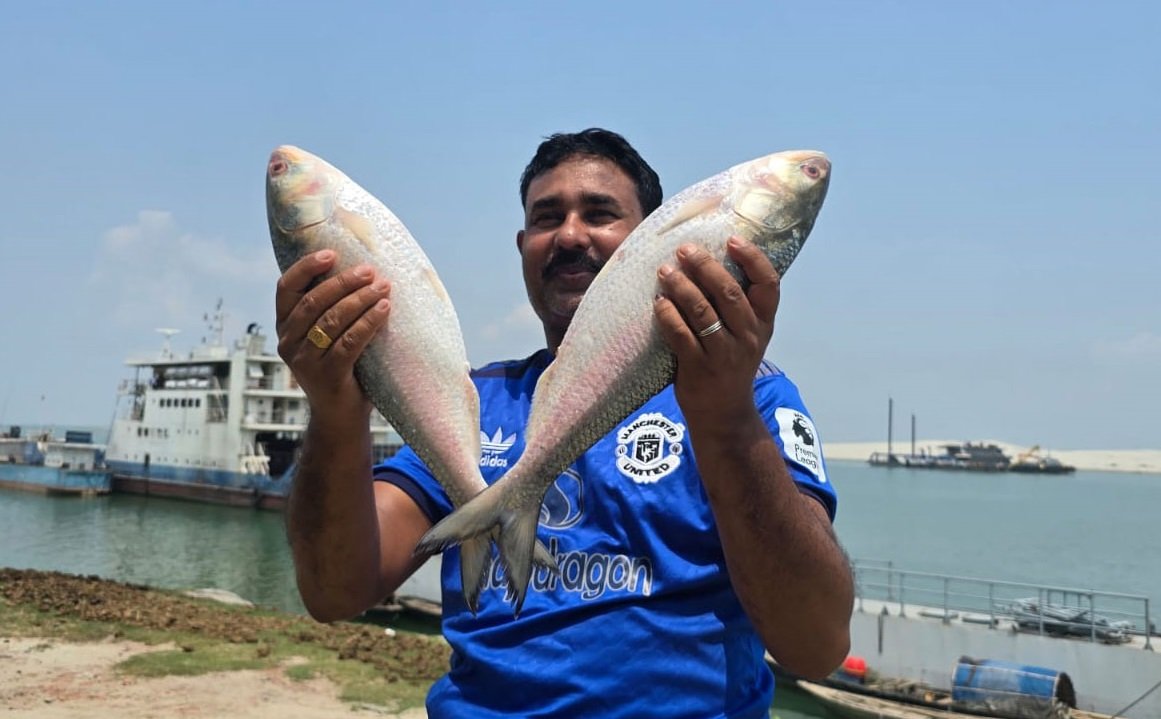 পদ্মার এক ইলিশ ৮ হাজার ৬শ’ টাকায় বিক্রি
